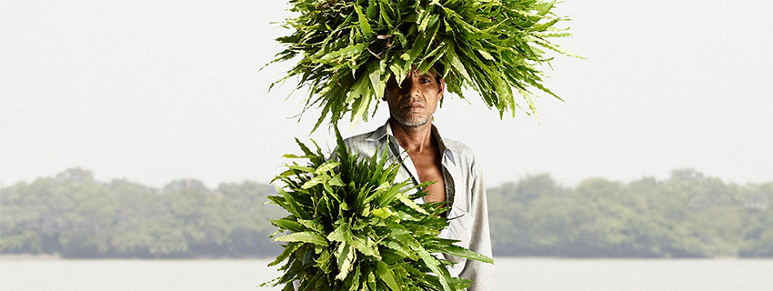 nomad-india-inspiration-kenn-herman-5
