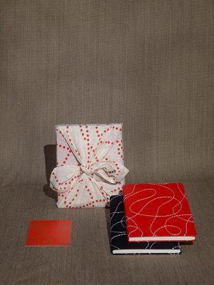 nomad-india-gifting-manan-diaries-5
