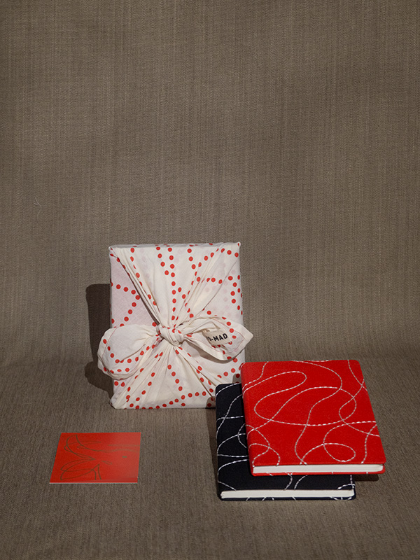 nomad-india-gifting-manan-diaries-5
